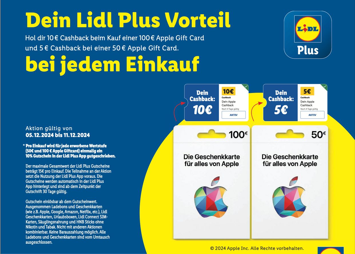 Auszug aus dem Flugblatt